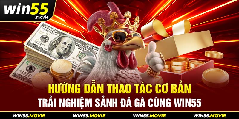 Hướng dẫn thao tác cơ bản trải nghiệm sảnh đá gà cùng Win55